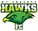 Logo of Mount Gravatt Hawks