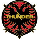 Logo of Dandenong Thunder