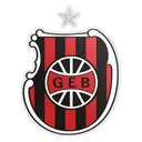 Logo of Brasil de Pelotas