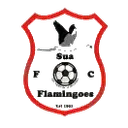 Logo of Sua Flamingoes