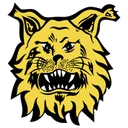 Logo of Ilves Tampere II