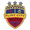 Logo of Flint City Bucks