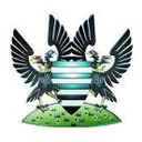 Logo of Salisbury FC