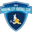 Logo of Nanjing City