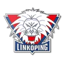 Logo of Linkopings (w)