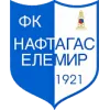 Logo of Naftagas