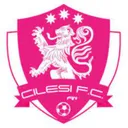 Logo of Cilesi FC