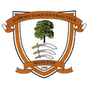 Logo of Ashford Town