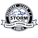 Logo of Northern Storm