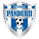 Logo of ACS Viitorul Pandurii Targu Jiu