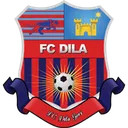 Logo of Dila Gori