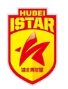 Logo of Hubei Istar