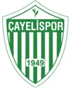 Logo of Cayelispor