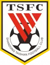 Logo of Shandong Taishan B