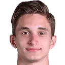 Dominik Plestil