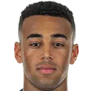 Tyler Adams