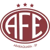 Logo of Ferroviaria SP (Youth)