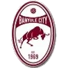 Logo of Banyule City
