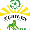 Logo of APS Bomet