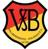 Logo of VFB Hallbergmoos