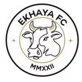 Logo of Ekhaya FC