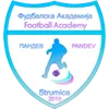 Logo of FC Academy Pandev U19