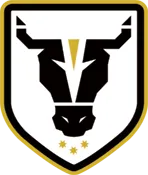 Logo of Bulls Academy (W)