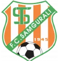 Logo of Samgurali Tskh