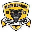Logo of Black Leopards