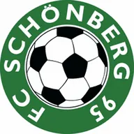 Logo of Schonberg 95