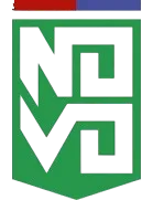 Logo of Novo Esporte Clube Ipatinga
