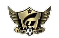 Logo of Shenzhen Heritage All-Star FC