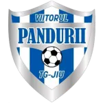 Logo of ACS Viitorul Pandurii Targu Jiu II