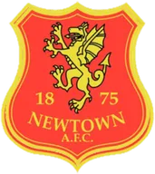 Logo of Newtown AFC