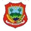 Logo of Panipi Raya FC