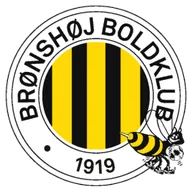 Logo of Bronshoj