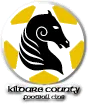 Logo of Kildare County
