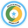 Logo of Rolim de Moura W