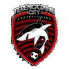 Logo of Terengganu City FC