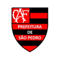 Logo of Flamengo Sao Pedro (w)