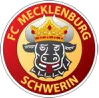 Logo of FC Mecklenburg Schwerin