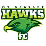Logo of Mount Gravatt Hawks U23
