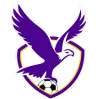 Logo of Boroondara Eagles Women