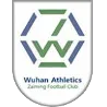 Logo of Hubei Athletics Zaiming