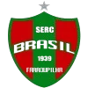 Logo of Brasil de Farroupilha (W)