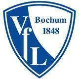 Logo of VfL Bochum (Youth)