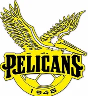 Logo of Pelicans SC