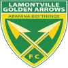 Logo of Golden Arrows Reserves