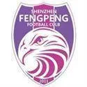 Logo of Shenzhen Fengpeng