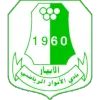 Logo of Al Anwar SA